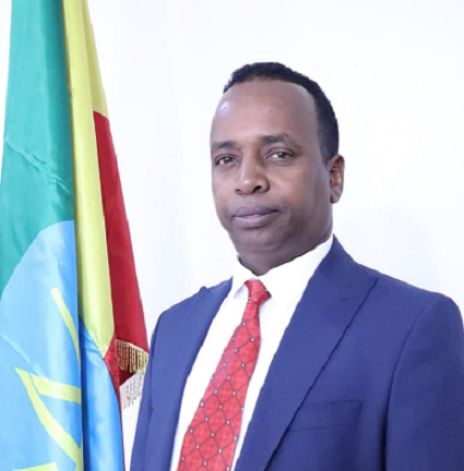 H.E Dr. Ing. Sultan Welle Ahmed